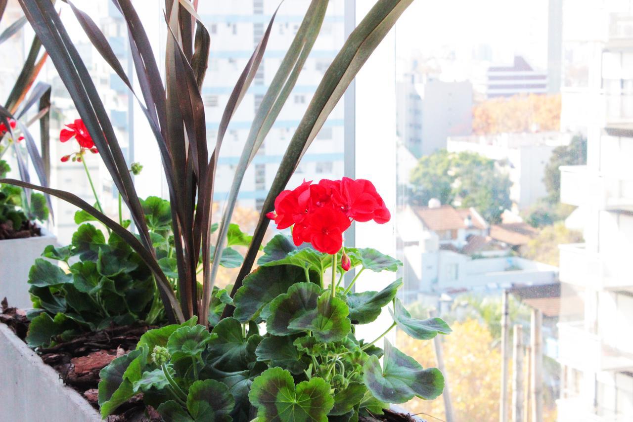 Hotel Boutique Devoto 부에노스아이레스 외부 사진